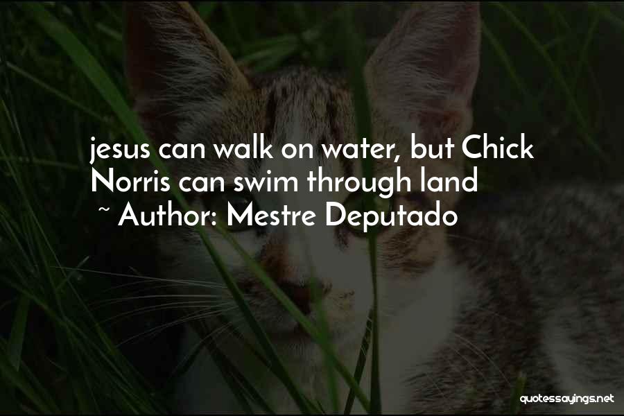 Mestre Deputado Quotes: Jesus Can Walk On Water, But Chick Norris Can Swim Through Land