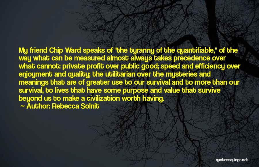 Rebecca Solnit Quotes: My Friend Chip Ward Speaks Of The Tyranny Of The Quantifiable, Of The Way What Can Be Measured Almost Always