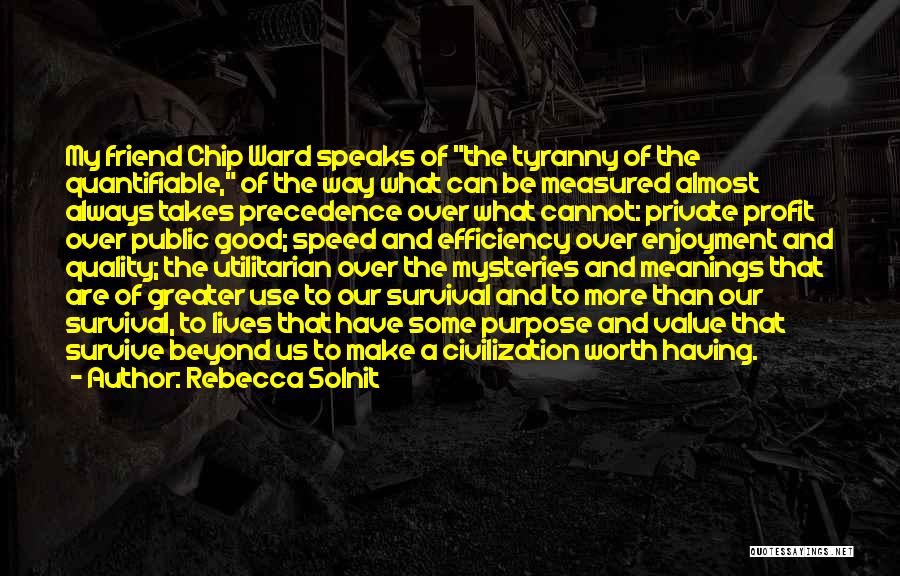 Rebecca Solnit Quotes: My Friend Chip Ward Speaks Of The Tyranny Of The Quantifiable, Of The Way What Can Be Measured Almost Always