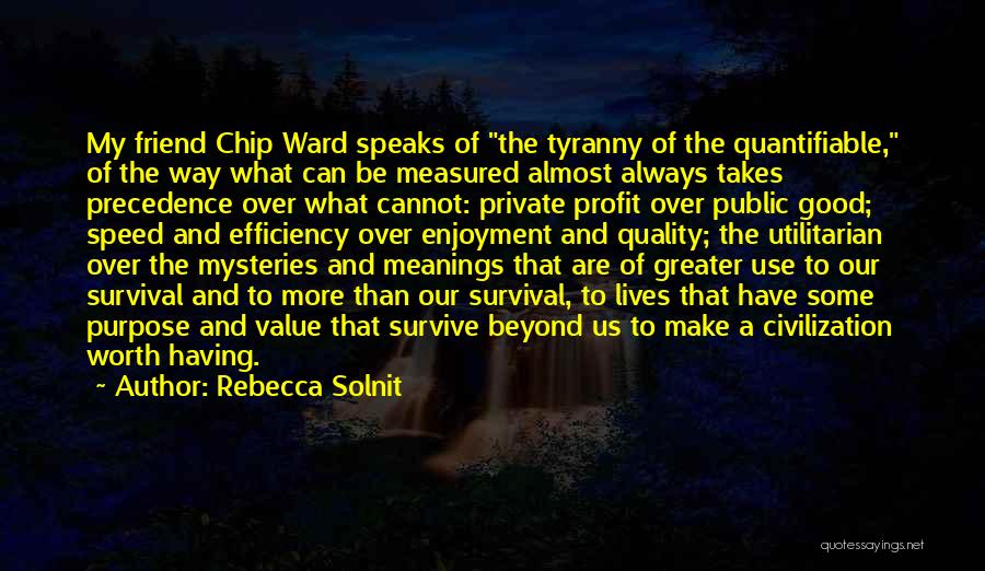 Rebecca Solnit Quotes: My Friend Chip Ward Speaks Of The Tyranny Of The Quantifiable, Of The Way What Can Be Measured Almost Always