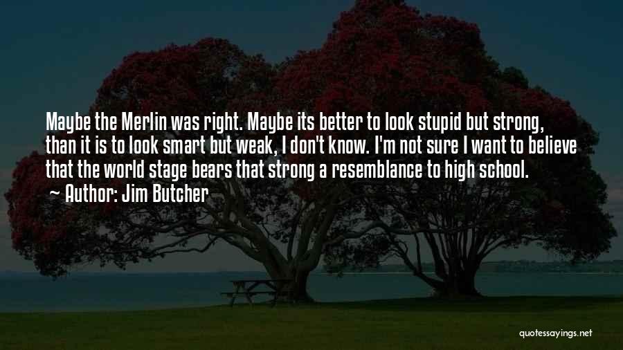 Jim Butcher Quotes: Maybe The Merlin Was Right. Maybe Its Better To Look Stupid But Strong, Than It Is To Look Smart But