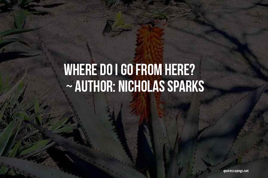Nicholas Sparks Quotes: Where Do I Go From Here?