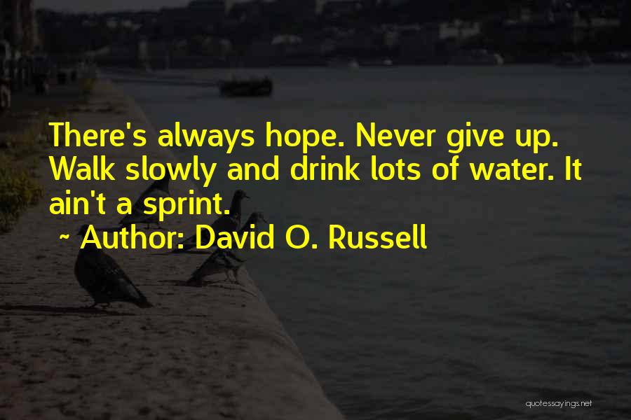 David O. Russell Quotes: There's Always Hope. Never Give Up. Walk Slowly And Drink Lots Of Water. It Ain't A Sprint.