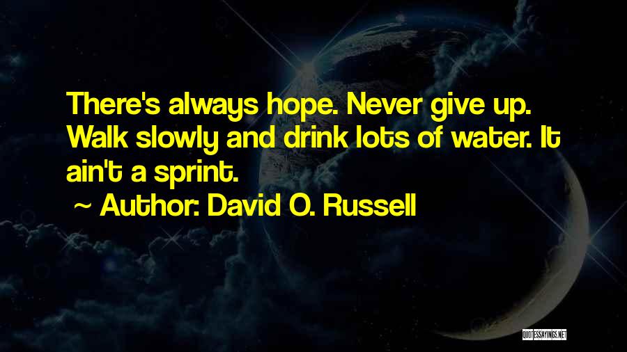 David O. Russell Quotes: There's Always Hope. Never Give Up. Walk Slowly And Drink Lots Of Water. It Ain't A Sprint.