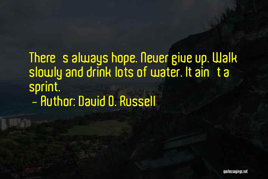 David O. Russell Quotes: There's Always Hope. Never Give Up. Walk Slowly And Drink Lots Of Water. It Ain't A Sprint.