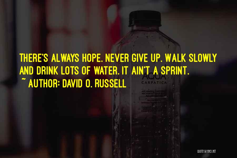 David O. Russell Quotes: There's Always Hope. Never Give Up. Walk Slowly And Drink Lots Of Water. It Ain't A Sprint.