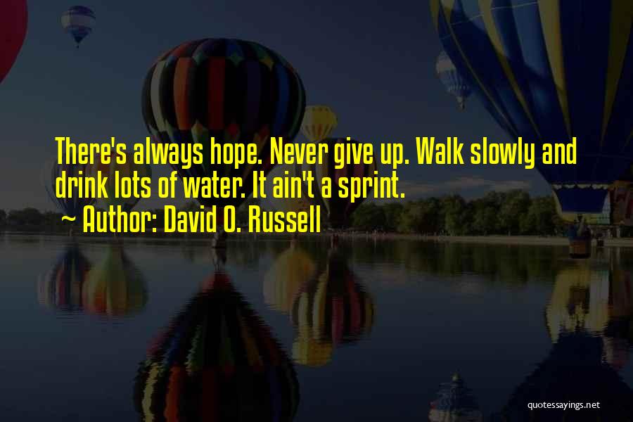 David O. Russell Quotes: There's Always Hope. Never Give Up. Walk Slowly And Drink Lots Of Water. It Ain't A Sprint.