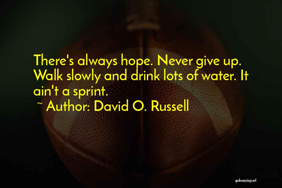 David O. Russell Quotes: There's Always Hope. Never Give Up. Walk Slowly And Drink Lots Of Water. It Ain't A Sprint.