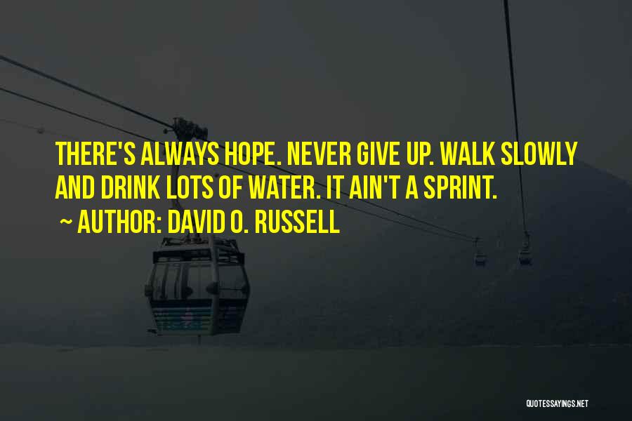 David O. Russell Quotes: There's Always Hope. Never Give Up. Walk Slowly And Drink Lots Of Water. It Ain't A Sprint.