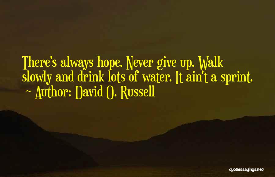 David O. Russell Quotes: There's Always Hope. Never Give Up. Walk Slowly And Drink Lots Of Water. It Ain't A Sprint.