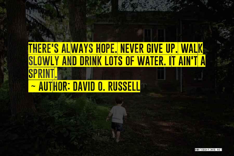 David O. Russell Quotes: There's Always Hope. Never Give Up. Walk Slowly And Drink Lots Of Water. It Ain't A Sprint.
