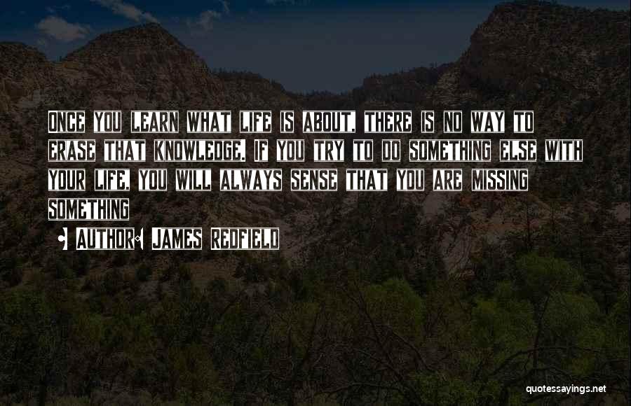 James Redfield Quotes: Once You Learn What Life Is About, There Is No Way To Erase That Knowledge. If You Try To Do