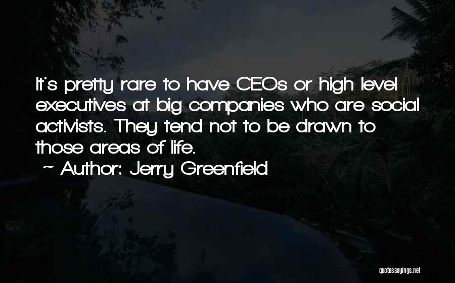 Jerry Greenfield Quotes: It's Pretty Rare To Have Ceos Or High Level Executives At Big Companies Who Are Social Activists. They Tend Not