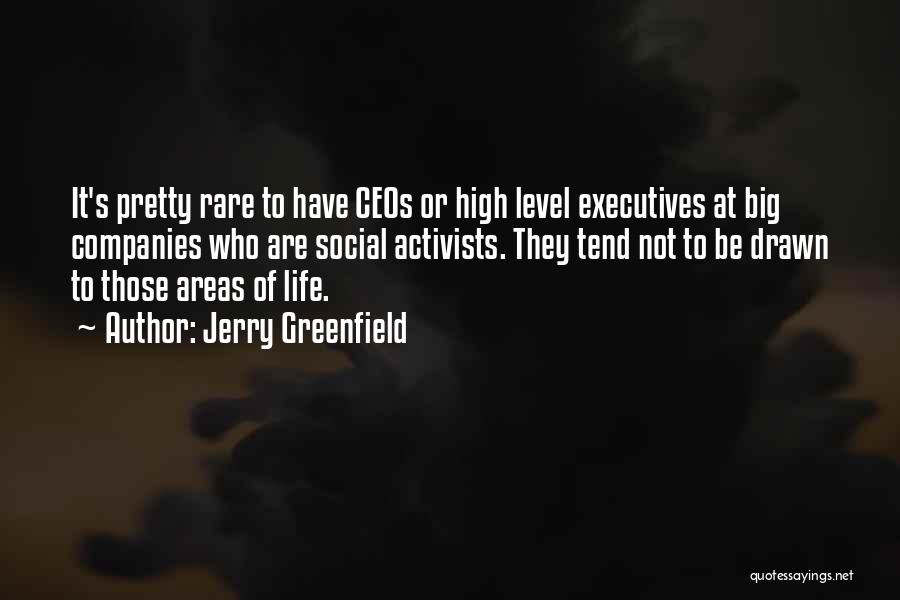 Jerry Greenfield Quotes: It's Pretty Rare To Have Ceos Or High Level Executives At Big Companies Who Are Social Activists. They Tend Not