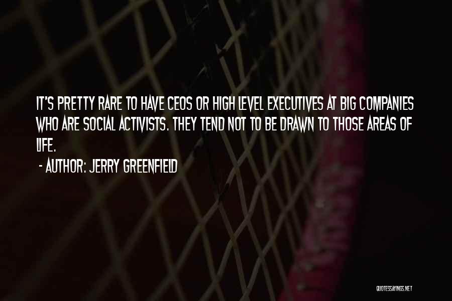 Jerry Greenfield Quotes: It's Pretty Rare To Have Ceos Or High Level Executives At Big Companies Who Are Social Activists. They Tend Not