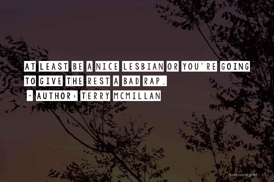 Terry McMillan Quotes: At Least Be A Nice Lesbian Or You're Going To Give The Rest A Bad Rap.