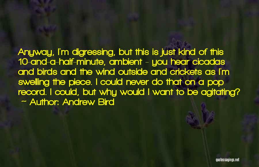 Andrew Bird Quotes: Anyway, I'm Digressing, But This Is Just Kind Of This 10-and-a-half-minute, Ambient - You Hear Cicadas And Birds And The