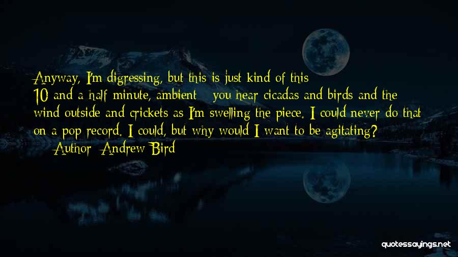 Andrew Bird Quotes: Anyway, I'm Digressing, But This Is Just Kind Of This 10-and-a-half-minute, Ambient - You Hear Cicadas And Birds And The