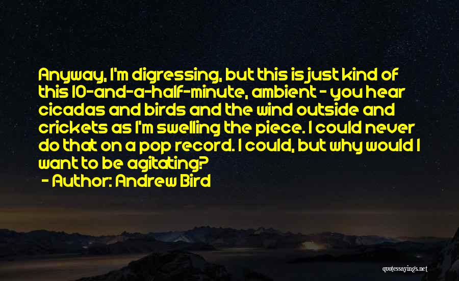 Andrew Bird Quotes: Anyway, I'm Digressing, But This Is Just Kind Of This 10-and-a-half-minute, Ambient - You Hear Cicadas And Birds And The