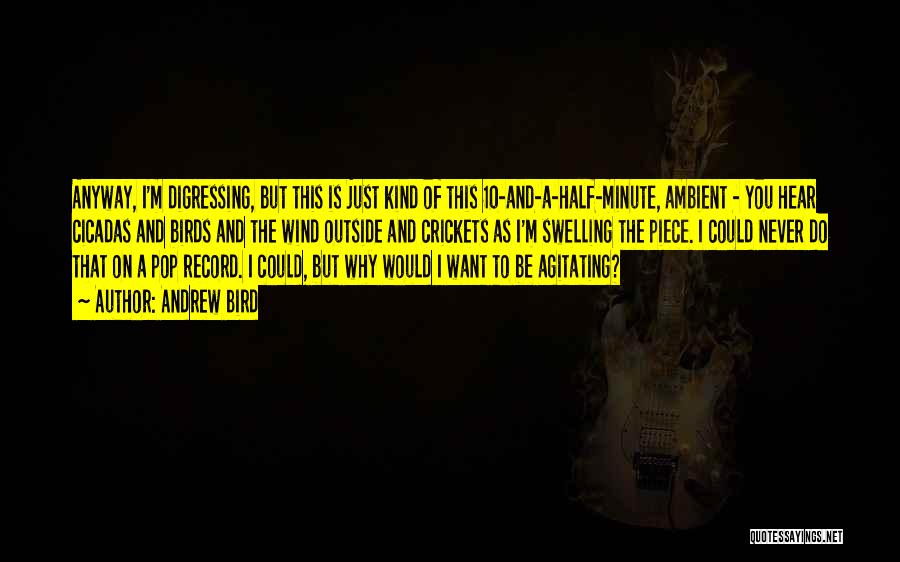 Andrew Bird Quotes: Anyway, I'm Digressing, But This Is Just Kind Of This 10-and-a-half-minute, Ambient - You Hear Cicadas And Birds And The