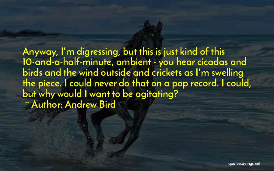 Andrew Bird Quotes: Anyway, I'm Digressing, But This Is Just Kind Of This 10-and-a-half-minute, Ambient - You Hear Cicadas And Birds And The