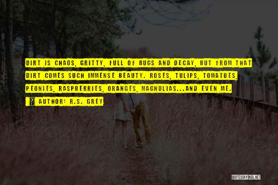 R.S. Grey Quotes: Dirt Is Chaos, Gritty, Full Of Bugs And Decay, But From That Dirt Comes Such Immense Beauty. Roses, Tulips, Tomatoes,