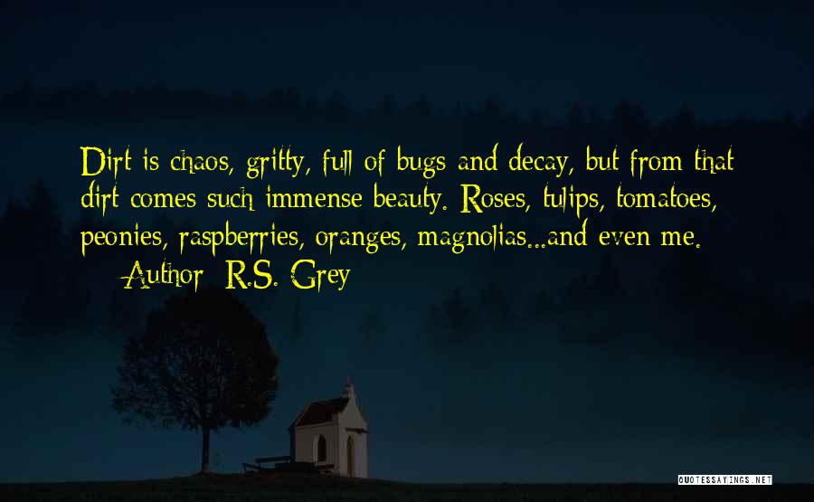 R.S. Grey Quotes: Dirt Is Chaos, Gritty, Full Of Bugs And Decay, But From That Dirt Comes Such Immense Beauty. Roses, Tulips, Tomatoes,