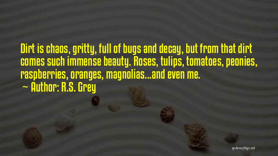 R.S. Grey Quotes: Dirt Is Chaos, Gritty, Full Of Bugs And Decay, But From That Dirt Comes Such Immense Beauty. Roses, Tulips, Tomatoes,