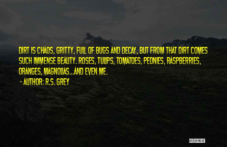 R.S. Grey Quotes: Dirt Is Chaos, Gritty, Full Of Bugs And Decay, But From That Dirt Comes Such Immense Beauty. Roses, Tulips, Tomatoes,