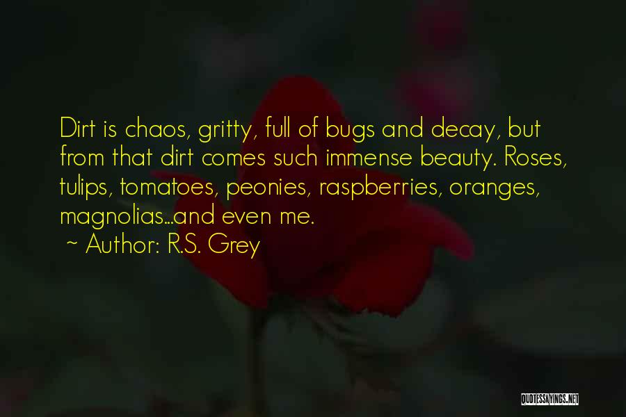 R.S. Grey Quotes: Dirt Is Chaos, Gritty, Full Of Bugs And Decay, But From That Dirt Comes Such Immense Beauty. Roses, Tulips, Tomatoes,