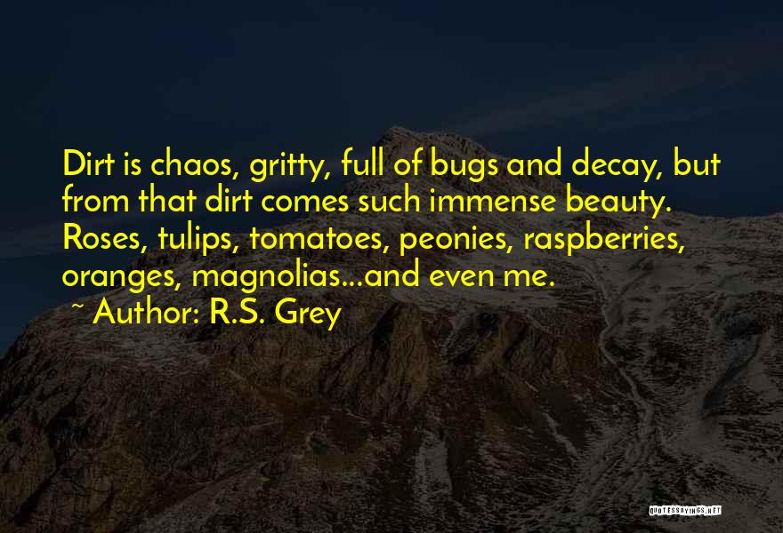 R.S. Grey Quotes: Dirt Is Chaos, Gritty, Full Of Bugs And Decay, But From That Dirt Comes Such Immense Beauty. Roses, Tulips, Tomatoes,