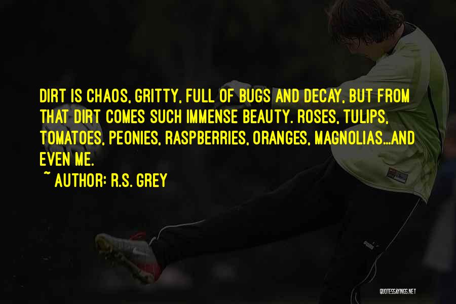 R.S. Grey Quotes: Dirt Is Chaos, Gritty, Full Of Bugs And Decay, But From That Dirt Comes Such Immense Beauty. Roses, Tulips, Tomatoes,
