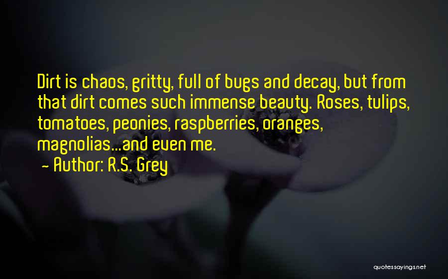 R.S. Grey Quotes: Dirt Is Chaos, Gritty, Full Of Bugs And Decay, But From That Dirt Comes Such Immense Beauty. Roses, Tulips, Tomatoes,