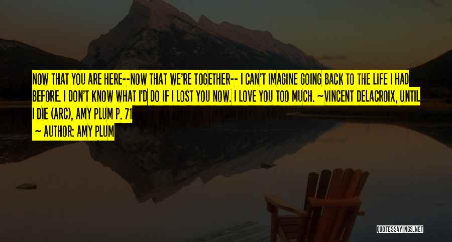 Amy Plum Quotes: Now That You Are Here--now That We're Together-- I Can't Imagine Going Back To The Life I Had Before. I
