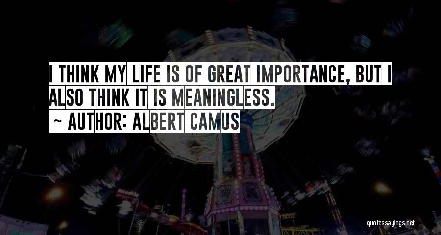 Albert Camus Quotes: I Think My Life Is Of Great Importance, But I Also Think It Is Meaningless.