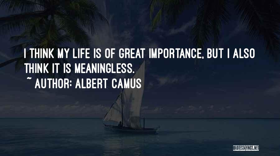 Albert Camus Quotes: I Think My Life Is Of Great Importance, But I Also Think It Is Meaningless.