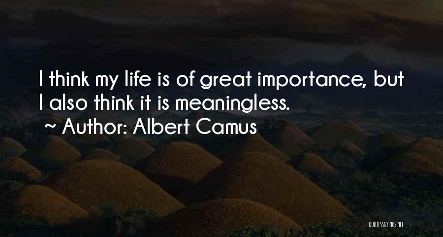 Albert Camus Quotes: I Think My Life Is Of Great Importance, But I Also Think It Is Meaningless.