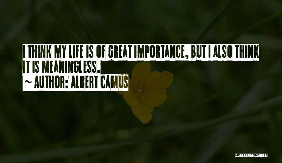 Albert Camus Quotes: I Think My Life Is Of Great Importance, But I Also Think It Is Meaningless.