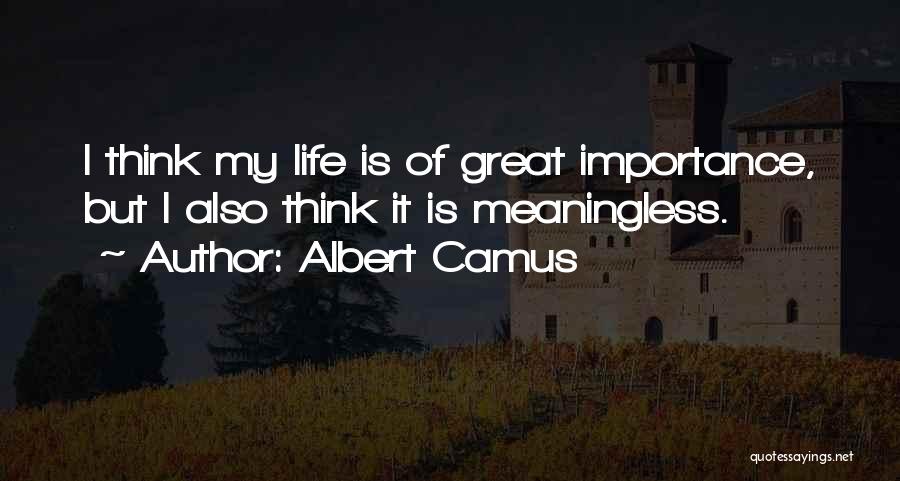 Albert Camus Quotes: I Think My Life Is Of Great Importance, But I Also Think It Is Meaningless.