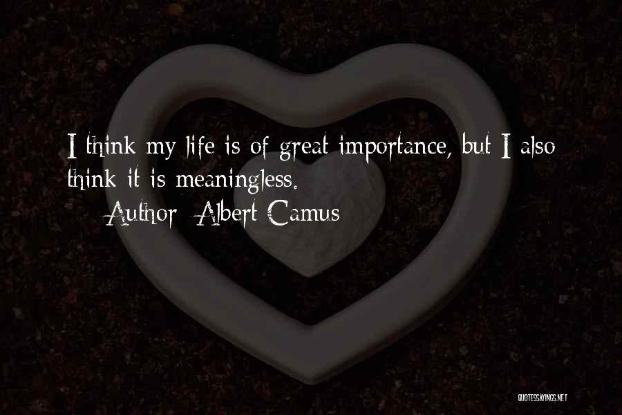 Albert Camus Quotes: I Think My Life Is Of Great Importance, But I Also Think It Is Meaningless.