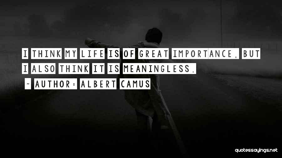 Albert Camus Quotes: I Think My Life Is Of Great Importance, But I Also Think It Is Meaningless.