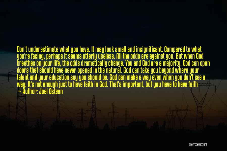 Joel Osteen Quotes: Don't Underestimate What You Have. It May Look Small And Insignificant. Compared To What You're Facing, Perhaps It Seems Utterly