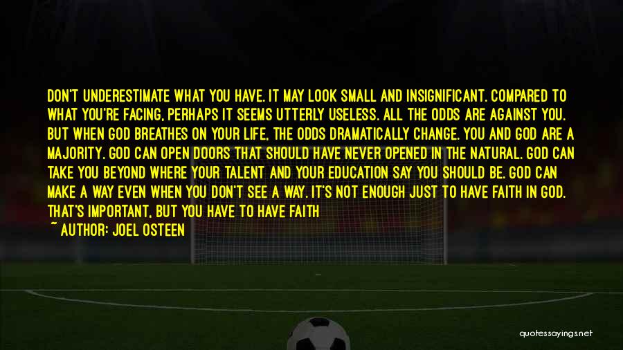 Joel Osteen Quotes: Don't Underestimate What You Have. It May Look Small And Insignificant. Compared To What You're Facing, Perhaps It Seems Utterly