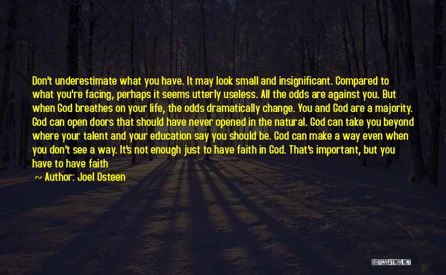 Joel Osteen Quotes: Don't Underestimate What You Have. It May Look Small And Insignificant. Compared To What You're Facing, Perhaps It Seems Utterly