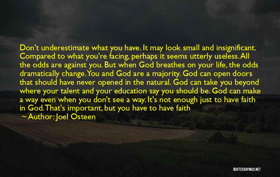 Joel Osteen Quotes: Don't Underestimate What You Have. It May Look Small And Insignificant. Compared To What You're Facing, Perhaps It Seems Utterly