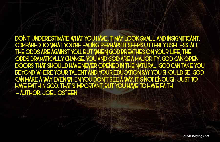 Joel Osteen Quotes: Don't Underestimate What You Have. It May Look Small And Insignificant. Compared To What You're Facing, Perhaps It Seems Utterly