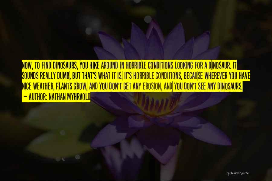 Nathan Myhrvold Quotes: Now, To Find Dinosaurs, You Hike Around In Horrible Conditions Looking For A Dinosaur. It Sounds Really Dumb, But That's