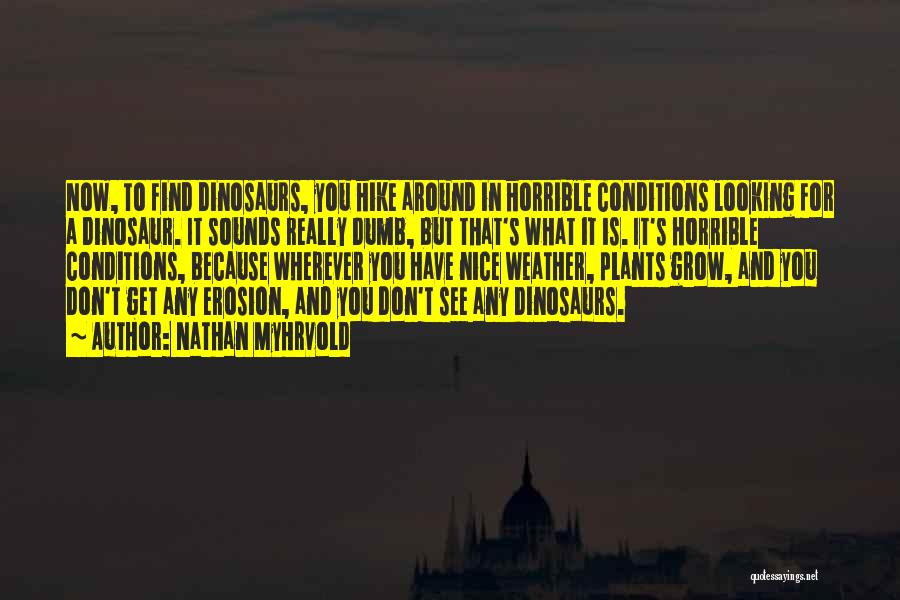 Nathan Myhrvold Quotes: Now, To Find Dinosaurs, You Hike Around In Horrible Conditions Looking For A Dinosaur. It Sounds Really Dumb, But That's