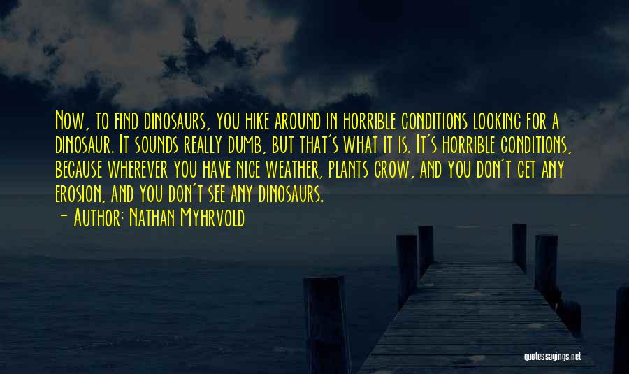 Nathan Myhrvold Quotes: Now, To Find Dinosaurs, You Hike Around In Horrible Conditions Looking For A Dinosaur. It Sounds Really Dumb, But That's