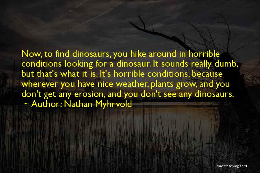 Nathan Myhrvold Quotes: Now, To Find Dinosaurs, You Hike Around In Horrible Conditions Looking For A Dinosaur. It Sounds Really Dumb, But That's